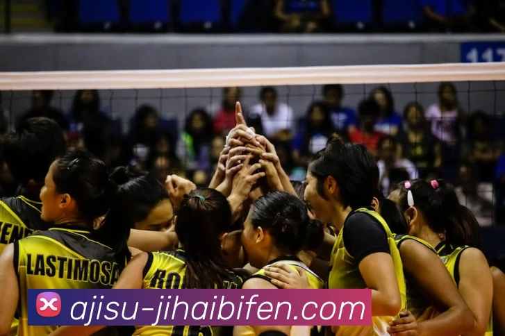 即嗨体育下载平台生态图